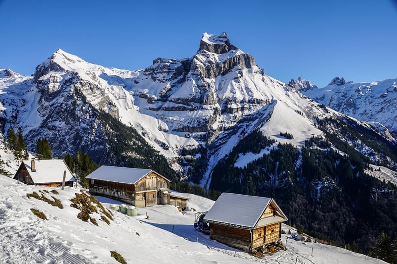 Skiing Image